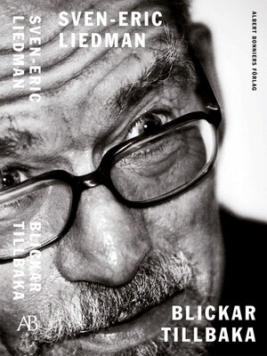 cover image of Blickar tillbaka